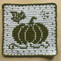 Sage Green and White hot pad
