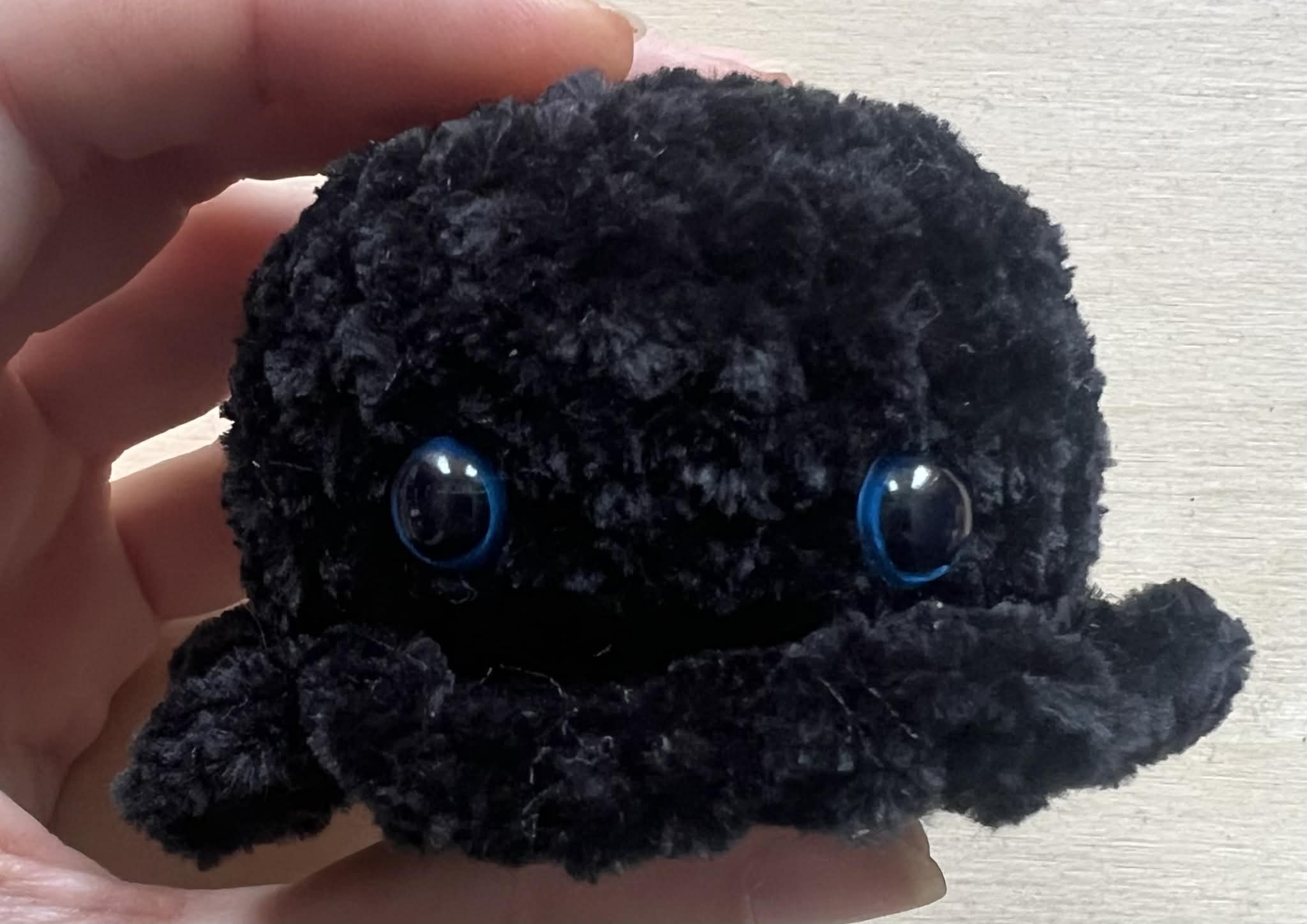 Black Mini Octopus