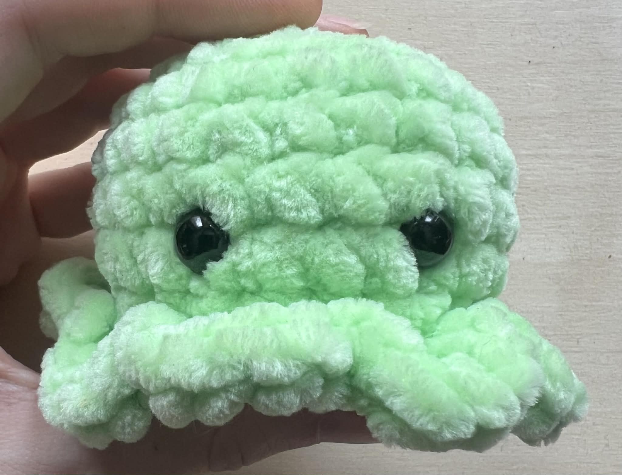 Key Lime Mini Octopus