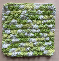 Green Summer washcloth